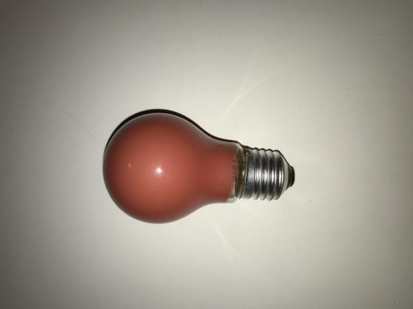 Röd dimbar glödlampa